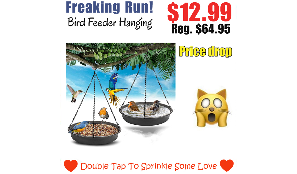 Bird Feeder Hanging Only $12.99 Shipped on Amazon (Regularly $64.95)