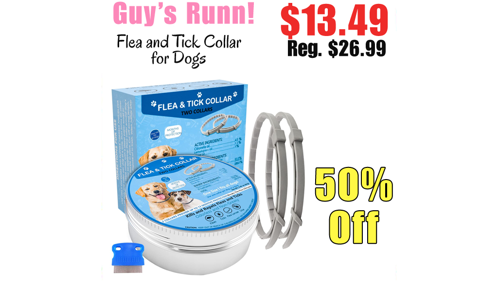 Flea and Tick Collar for Dogs Only $13.49 Shipped on Amazon (Regularly $26.99)