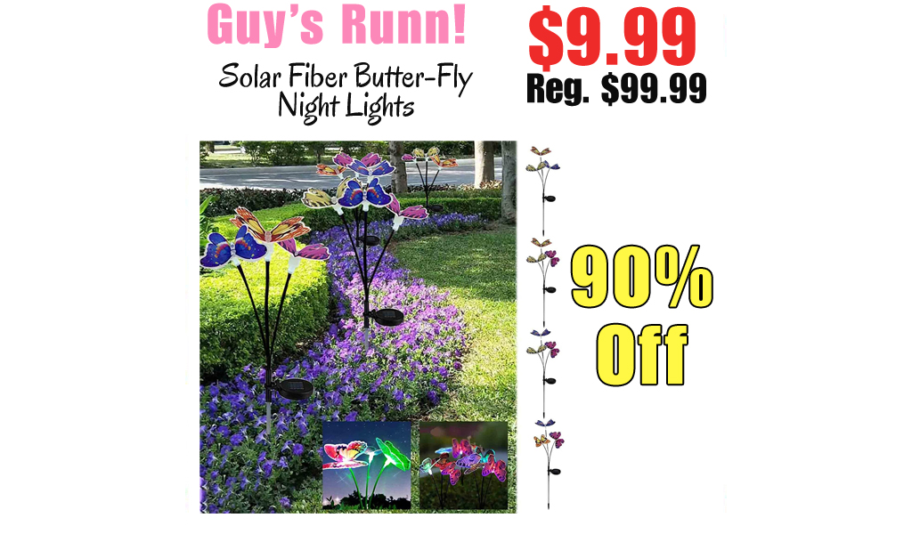 Solar Fiber Butter-Fly Night Lights Only $9.99 Shipped on Amazon (Regularly $99.99)