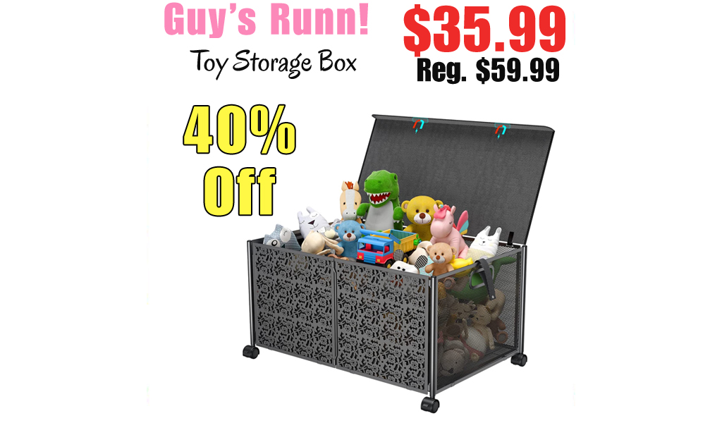 Toy Storage Box Only $35.99 Shipped on Amazon (Regularly $59.99)