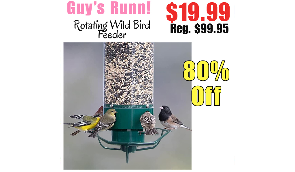 Rotating Wild Bird Feeder Only $19.99 Shipped on Amazon (Regularly $99.95)