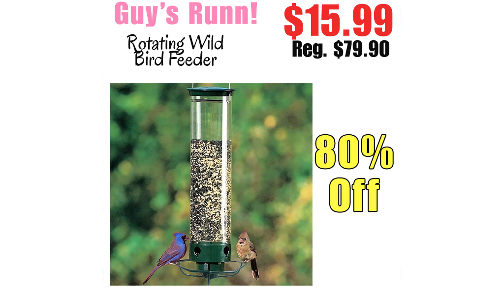 Rotating Wild Bird Feeder Only $15.99 Shipped on Amazon (Regularly $79.90)