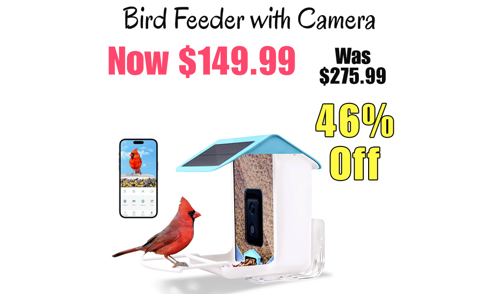 Bird Feeder with Camera Only $149.99 Shipped on Walmart.com (Regularly $275.99)