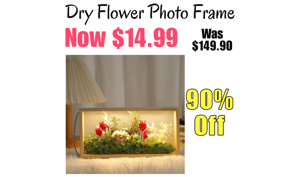 Dry Flower Photo Frame Only $14.99 Shipped on Amazon (Regularly $149.90)