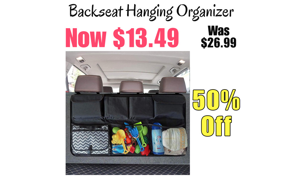 Backseat Hanging Organizer Only $13.49 Shipped on Amazon (Regularly $26.99)