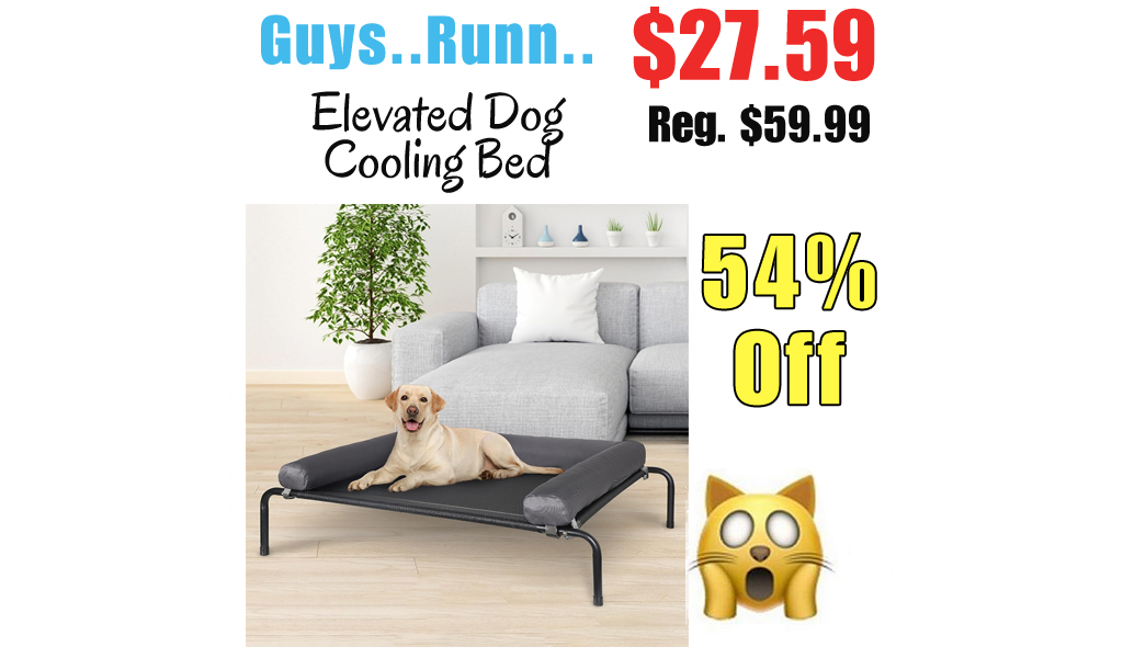 Elevated Dog Cooling Bed Only $27.59 Shipped on Amazon (Regularly $59.99)