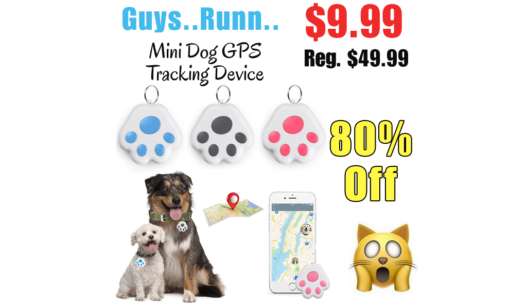 Mini Dog GPS Tracking Device Only $9.99 Shipped on Amazon (Regularly $49.99)