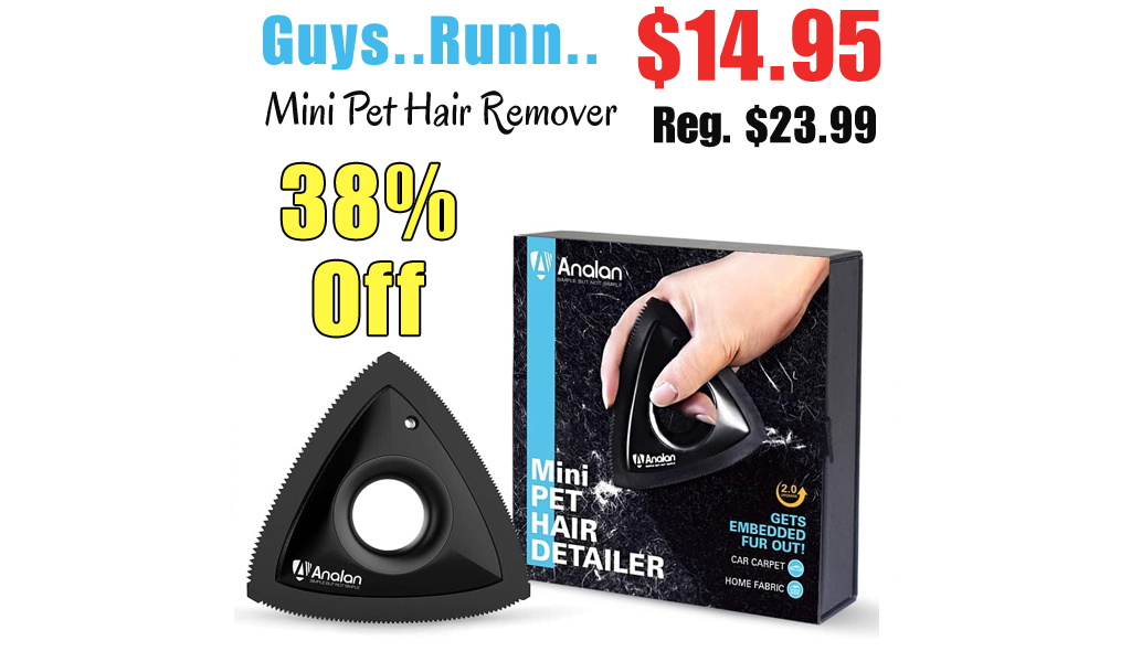 Mini Pet Hair Remover Only $14.95 Shipped on Amazon (Regularly $23.99)
