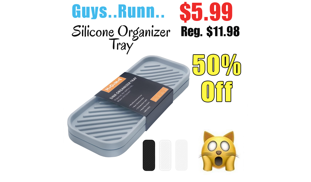 Silicone Organizer Tray Only $5.99 Shipped on Amazon (Regularly $11.98)