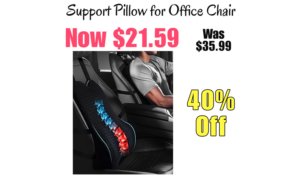 Support Pillow for Office Chair Only $21.59 Shipped on Amazon (Regularly $35.99)