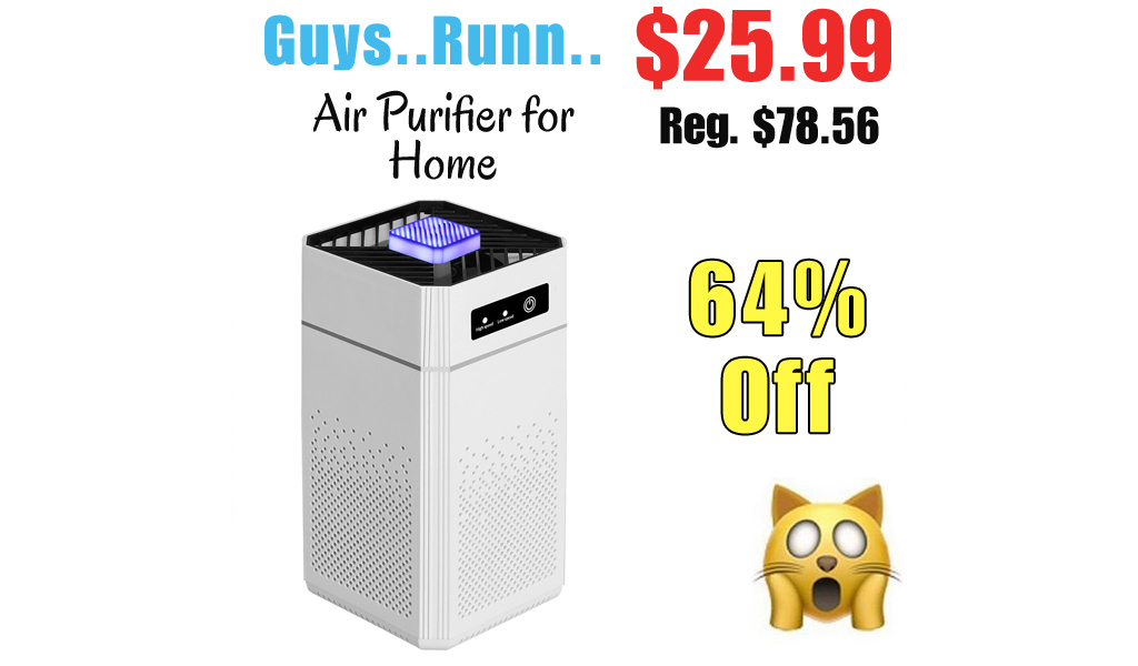 Air Purifier for Home Only $25.99 Shipped on Walmart.com (Regularly $78.56)