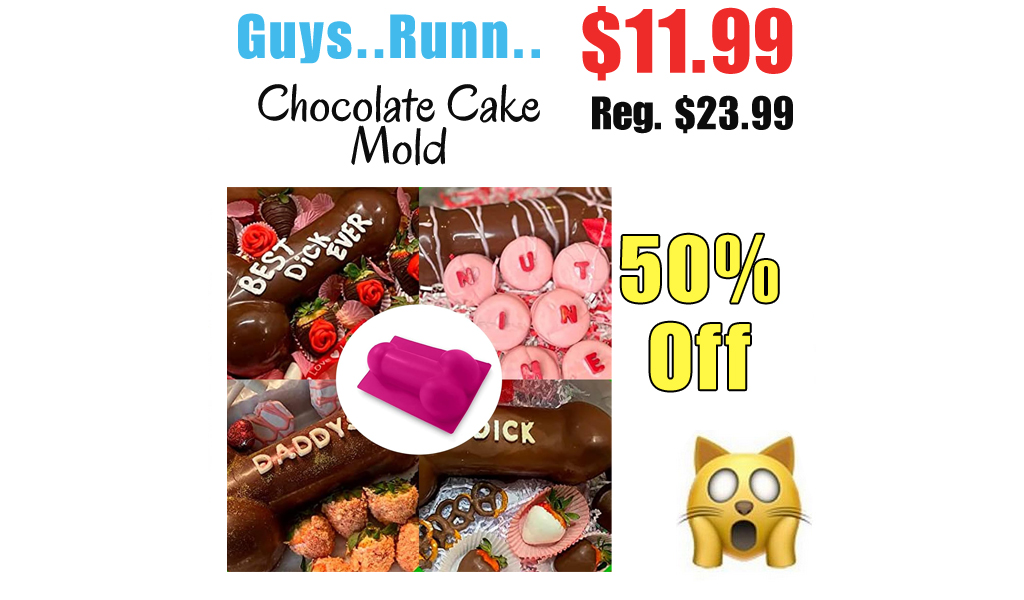 Chocolate Cake Mold Only $11.99 Shipped on Amazon (Regularly $23.99)