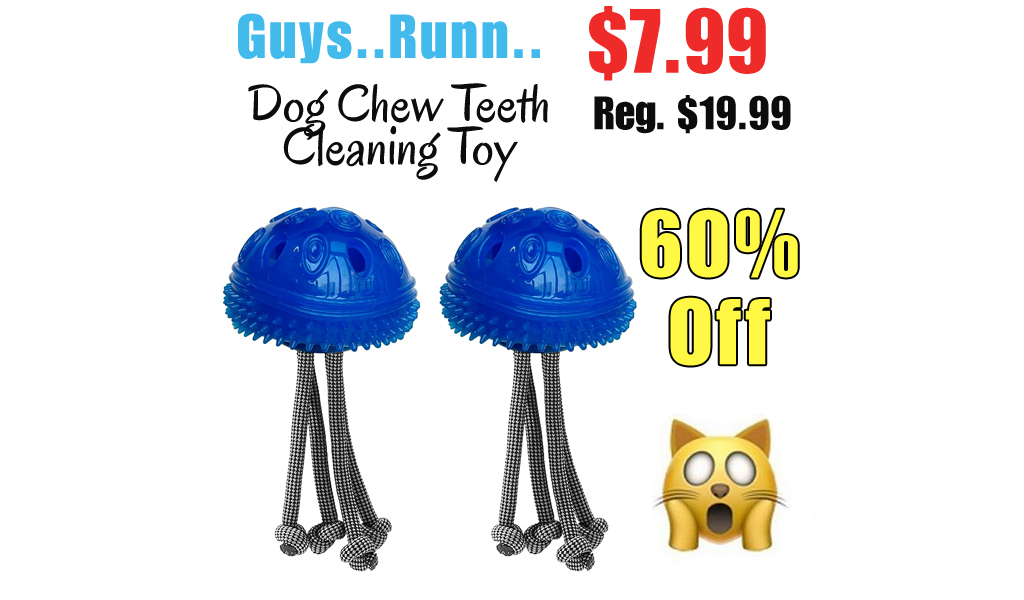 Dog Chew Teeth Cleaning Toy Only $7.99 Shipped on Amazon (Regularly $19.99)
