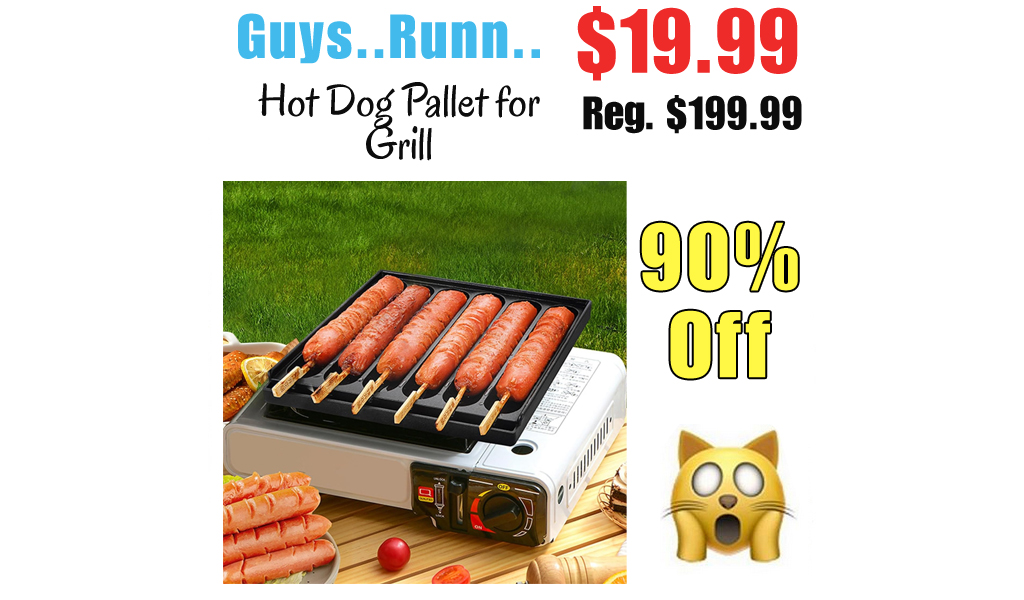 Hot Dog Pallet for Grill Only $19.99 Shipped on Amazon (Regularly $199.99)