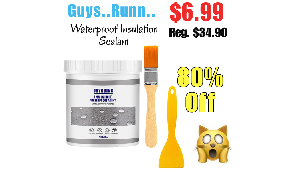 Waterproof Insulation Sealant Only $6.99 Shipped on Amazon (Regularly $34.90)