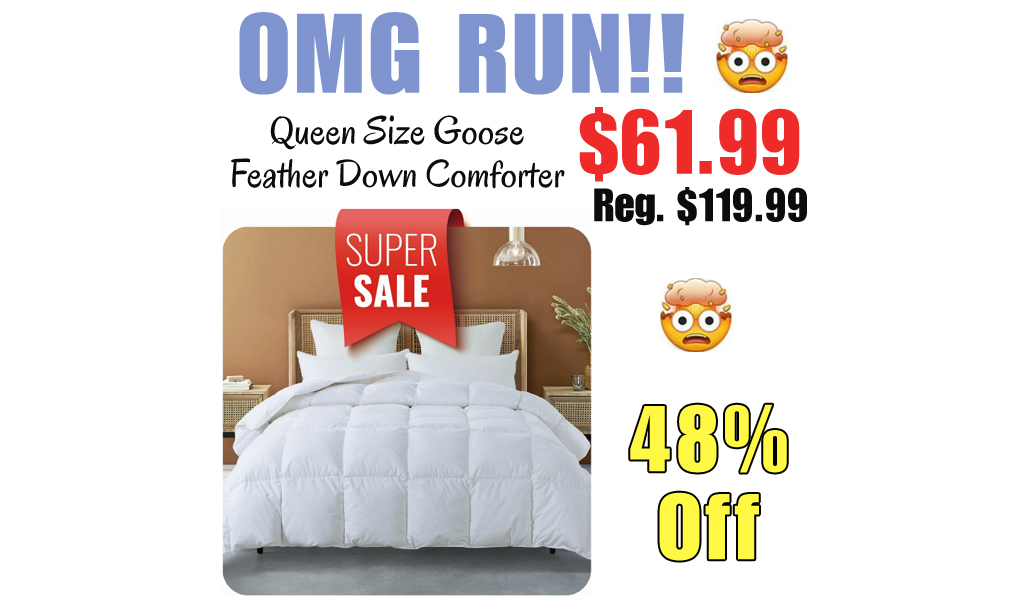 Queen Size Goose Feather Down Comforter Only $61.99 Shipped on Walmart.com (Regularly $119.99)
