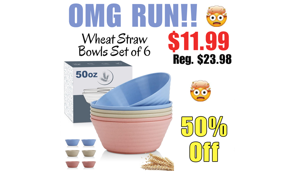 Wheat Straw Bowls Set of 6 Only $11.99 Shipped on Amazon (Regularly $23.98)