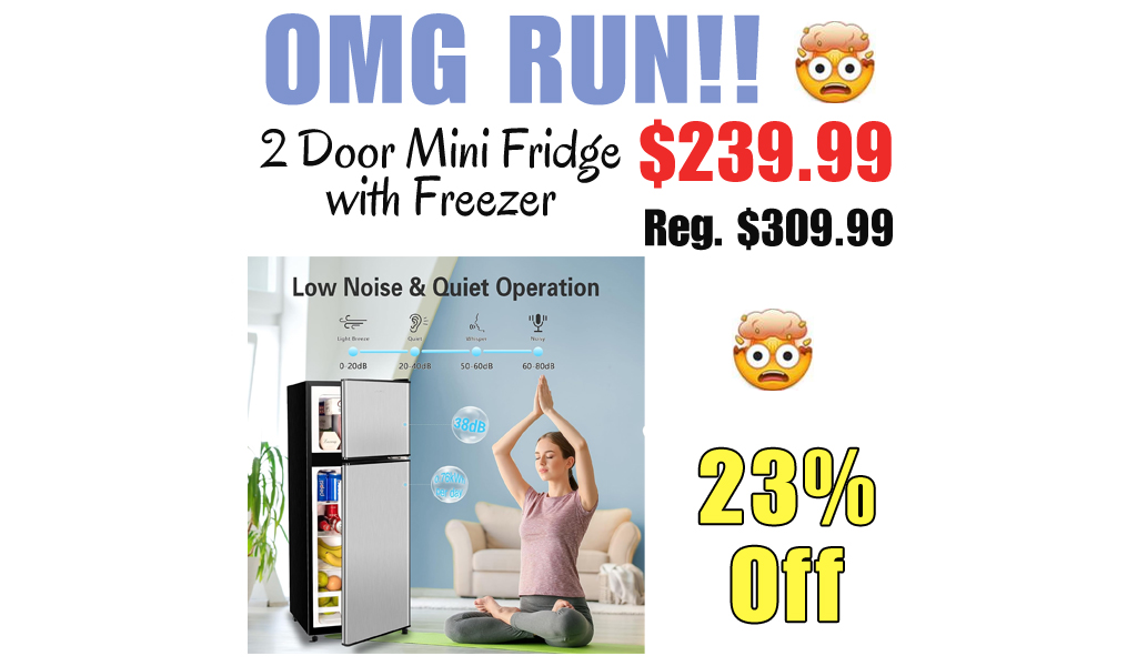 2 Door Mini Fridge with Freezer Only $239.99 Shipped on Amazon (Regularly $309.99)