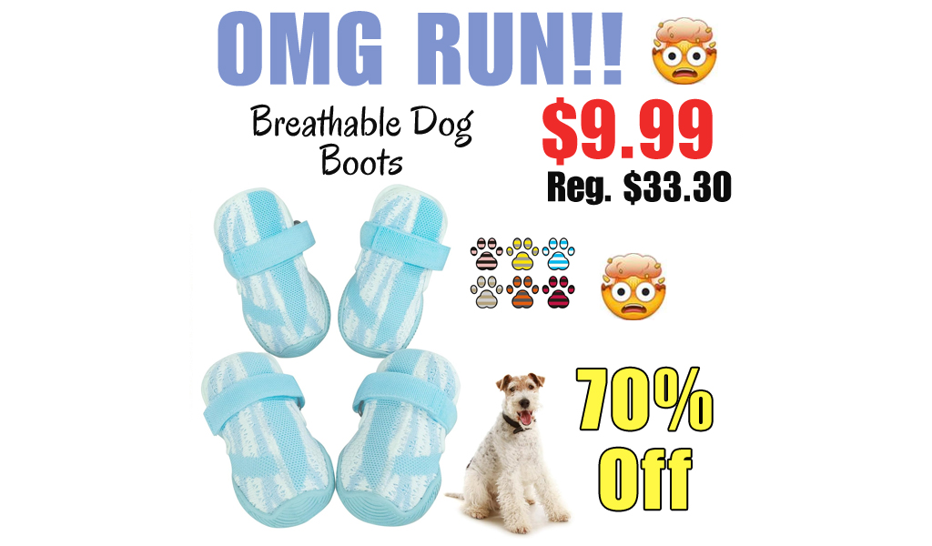 Breathable Dog Boots Only $9.99 Shipped on Amazon (Regularly $33.30)