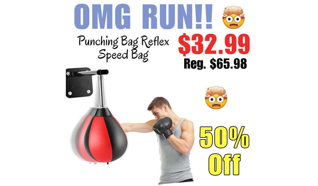 Punching Bag Reflex Speed Bag Only $32.99 Shipped on Amazon (Regularly $65.98)