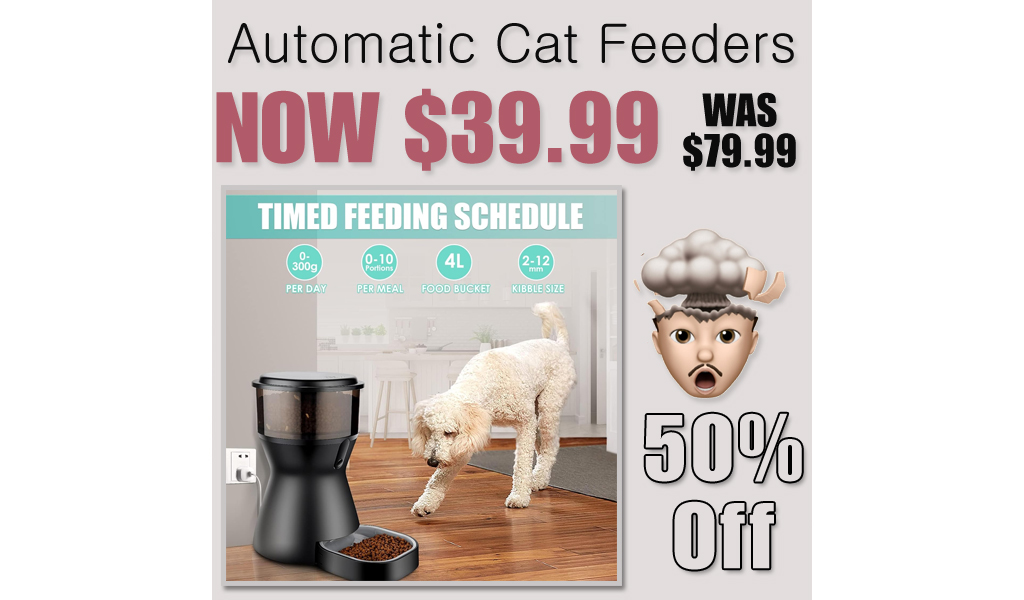 Automatic Cat Feeders Only $39.99 Shipped on Amazon (Regularly $79.99)