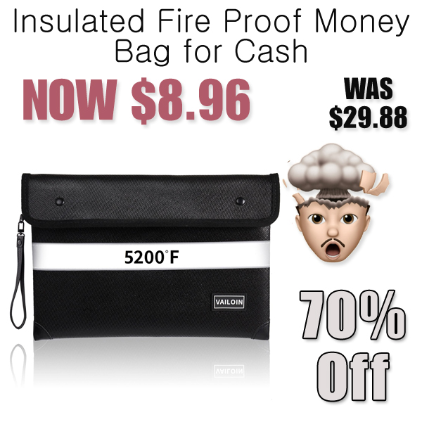 Insulated Fire Proof Money Bag for Cash Only $8.96 Shipped on Amazon (Regularly $29.88)