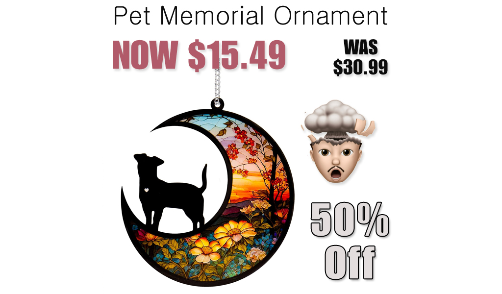 Pet Memorial Ornament Only $15.49 Shipped on Amazon (Regularly $30.99)
