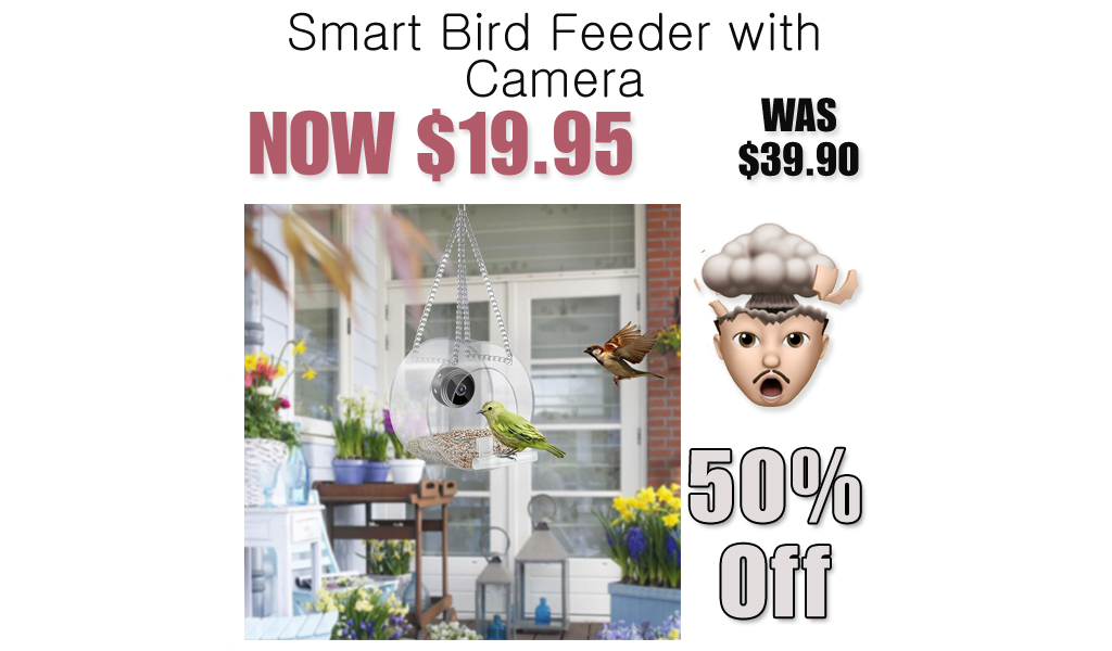 Smart Bird Feeder with Camera Only $19.95 Shipped on Amazon (Regularly $39.90)