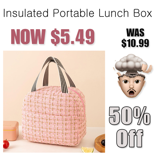 Insulated Portable Lunch Box Only $8.99 Shipped on Amazon (Regularly $10.99)