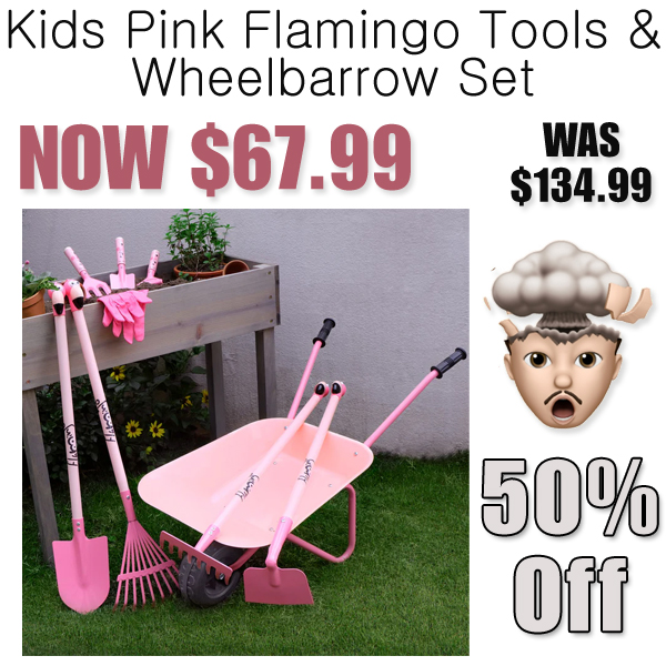 Kids Pink Flamingo Tools & Wheelbarrow Set Only $67.99 Shipped (Regularly $134.99)