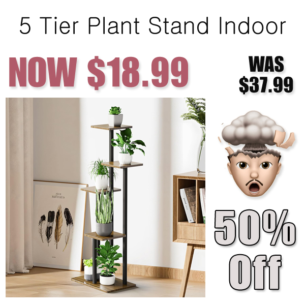 5 Tier Plant Stand Indoor Only $18.99 Shipped on Amazon (Regularly $37.99)